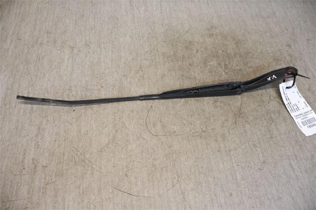 Viskerarm / Armer Frontrute – bilde 1