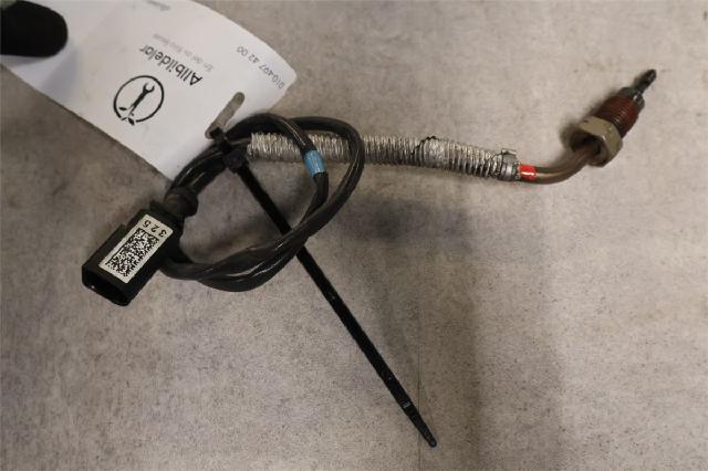 Giver Temp/Trykkvakt (Avgass) – bilde 1