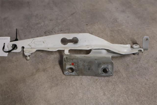 Panser Hengsel / Hengsler – bilde 1