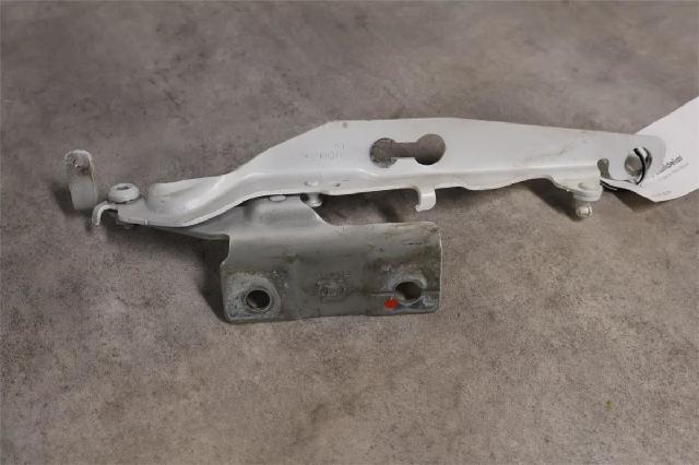 Panser Hengsel / Hengsler – bilde 1