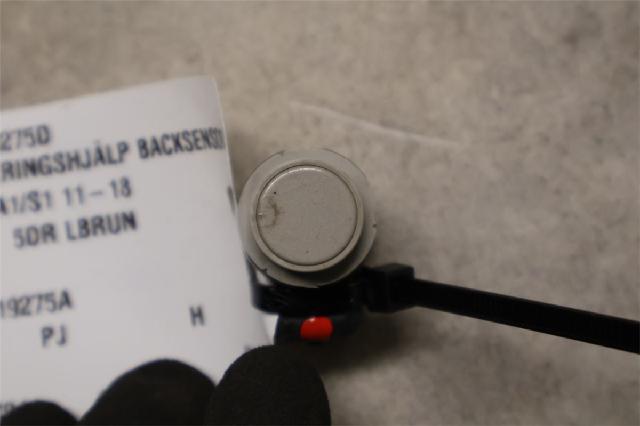 Sensor Ryggesensor – bilde 1