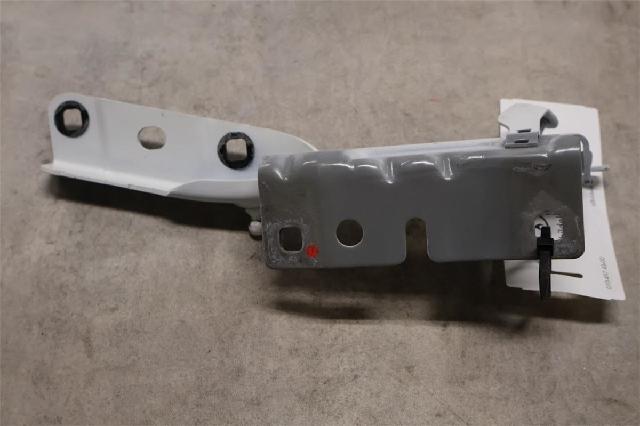 Panser Hengsel / Hengsler – bilde 1