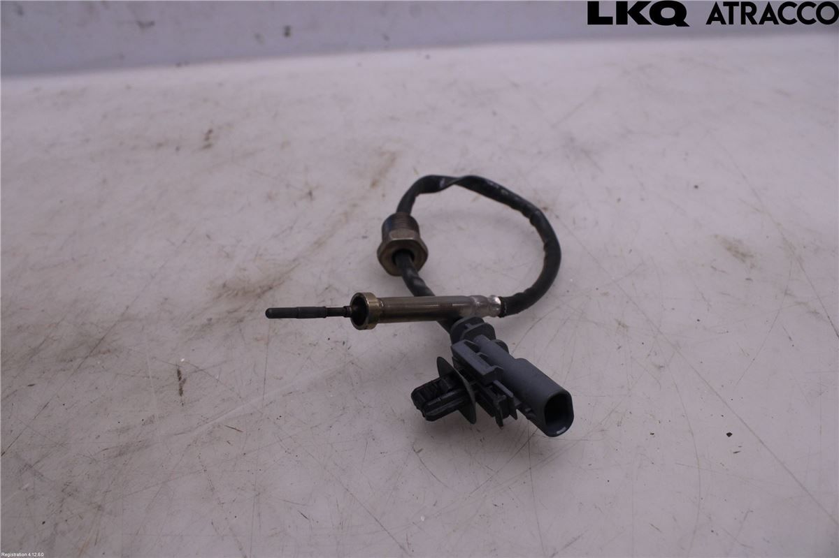 Giver Temp/Trykkvakt (Avgass) – bilde 1