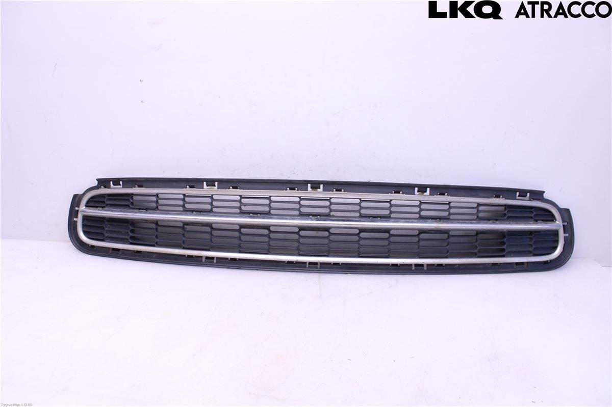 Grill / Gitter – bilde 1