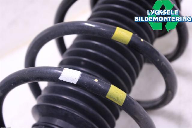 Fjærbein Foran Høyre – bilde 3