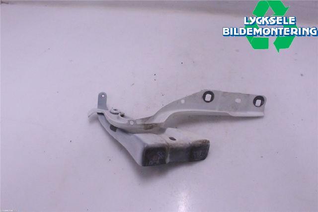 Panser Hengsel / Hengsler – bilde 2