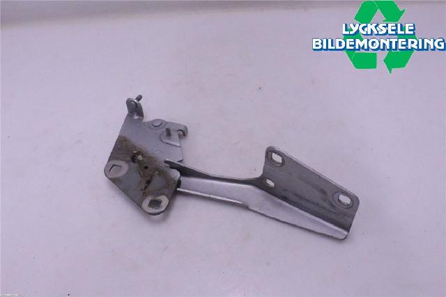 Panser Hengsel / Hengsler – bilde 2