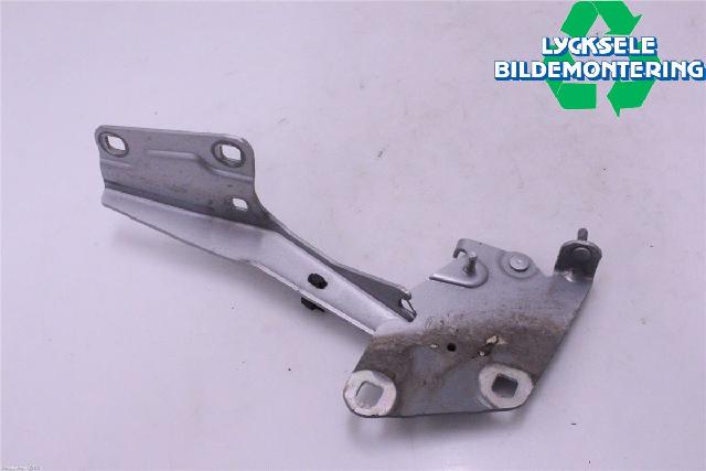 Panser Hengsel / Hengsler – bilde 2