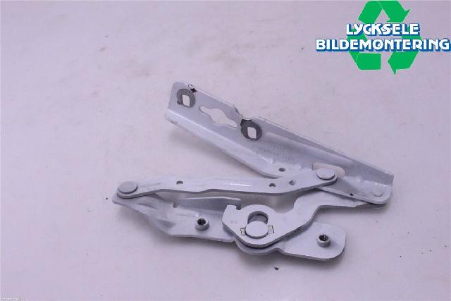 Panser Hengsel / Hengsler – bilde 2