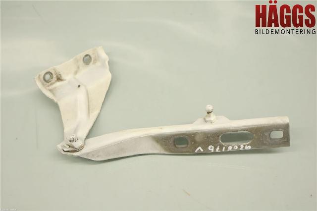 Panser Hengsel / Hengsler – bilde 1