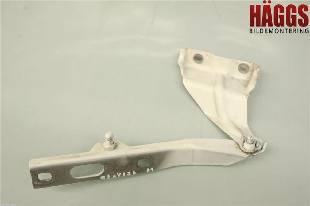 Panser Hengsel / Hengsler – bilde 1