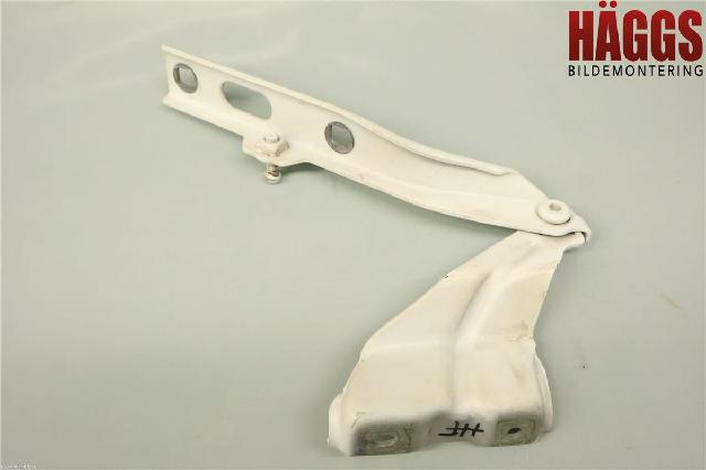 Panser Hengsel / Hengsler – bilde 2