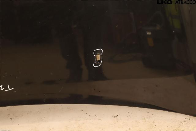 Panser – bilde 3
