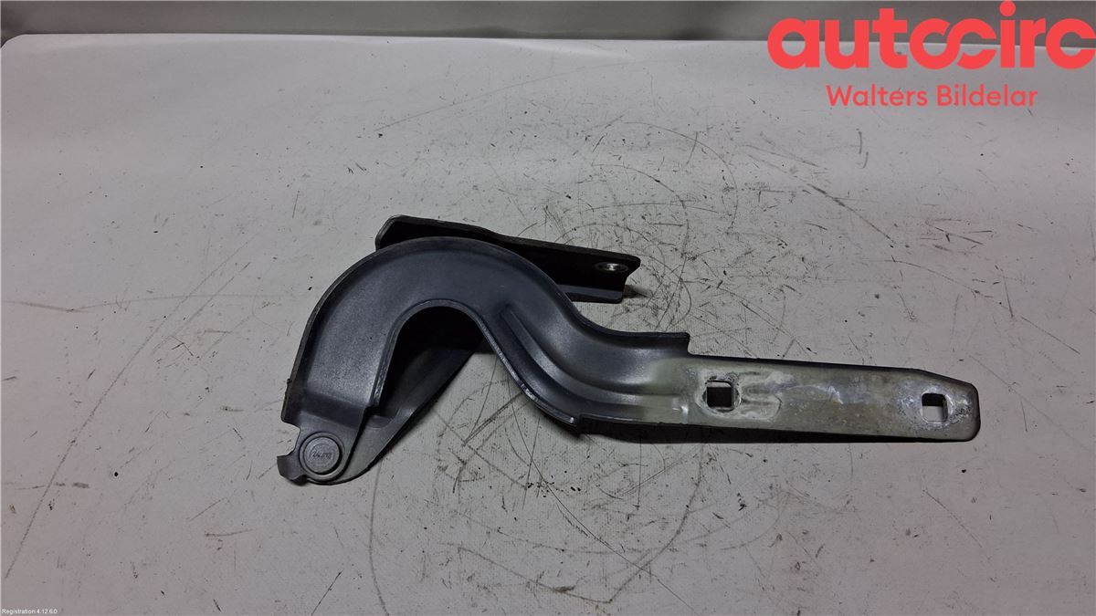 Panser Hengsel / Hengsler – bilde 1