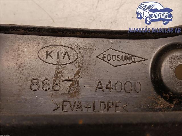 Skvettlapp – bilde 3