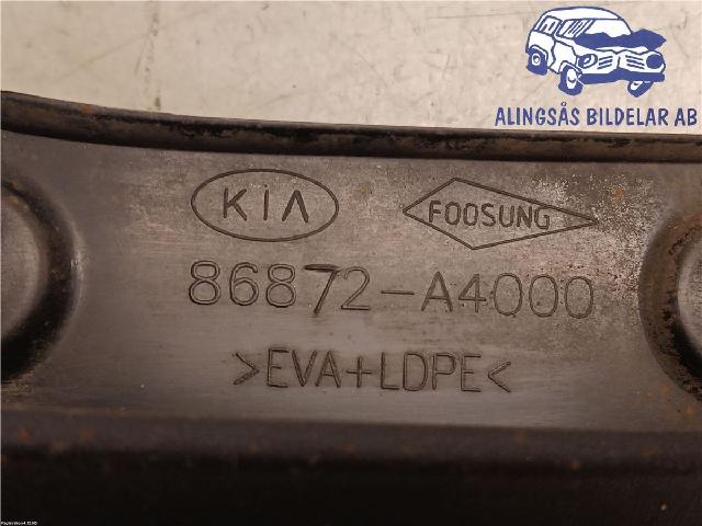 Skvettlapp – bilde 3