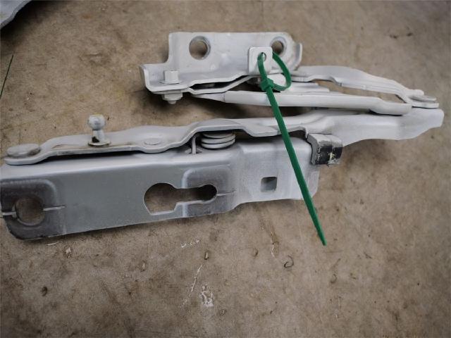 Panser Hengsel / Hengsler – bilde 1