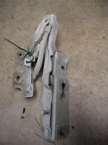 Panser Hengsel / Hengsler – bilde 1