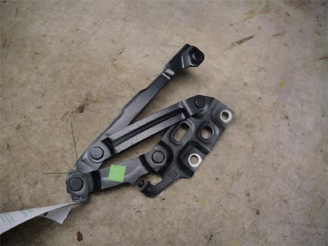 Panser Hengsel / Hengsler – bilde 1