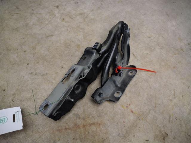 Panser Hengsel / Hengsler – bilde 1