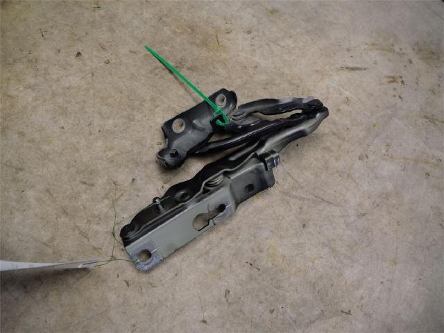 Panser Hengsel / Hengsler – bilde 1