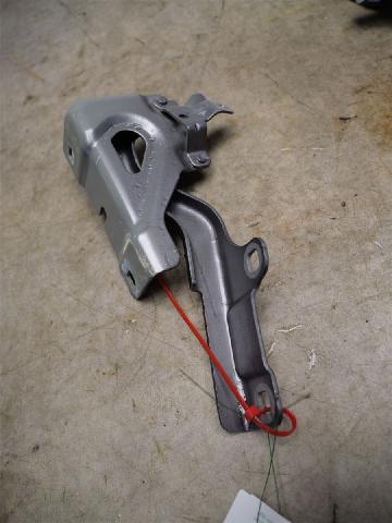 Panser Hengsel / Hengsler – bilde 1