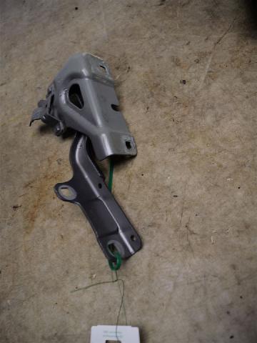 Panser Hengsel / Hengsler – bilde 1