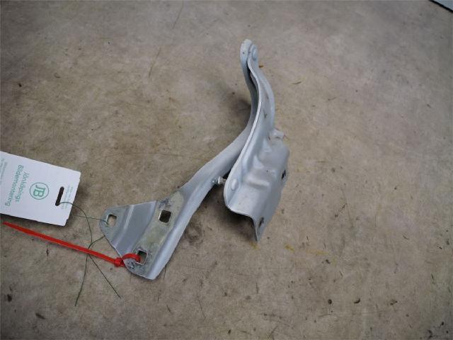 Panser Hengsel / Hengsler – bilde 1
