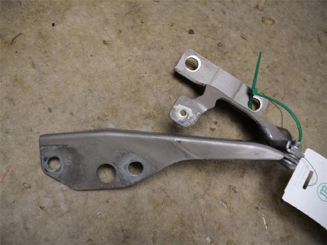 Panser Hengsel / Hengsler – bilde 1