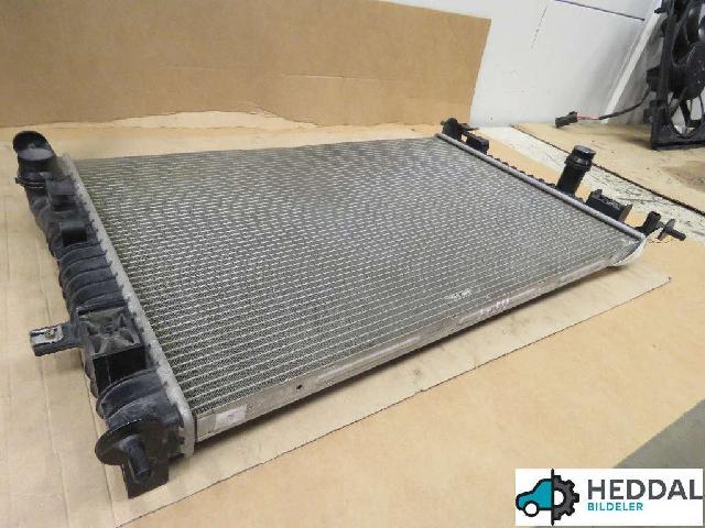 Radiator Manuell – bilde 2