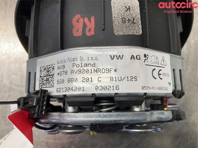 Airbag Rattpute – bilde 4