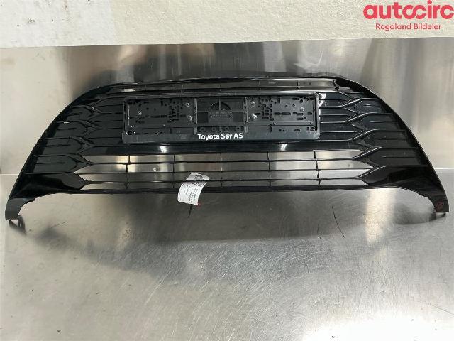 Grill Komplett – bilde 1