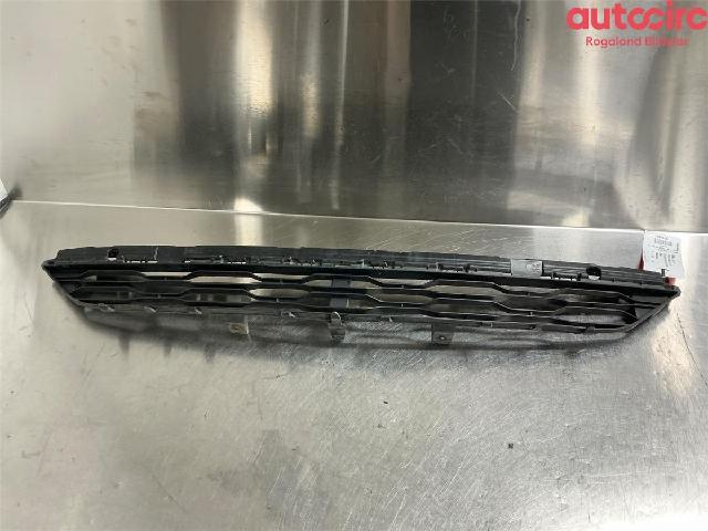 Grill / Gitter – bilde 1