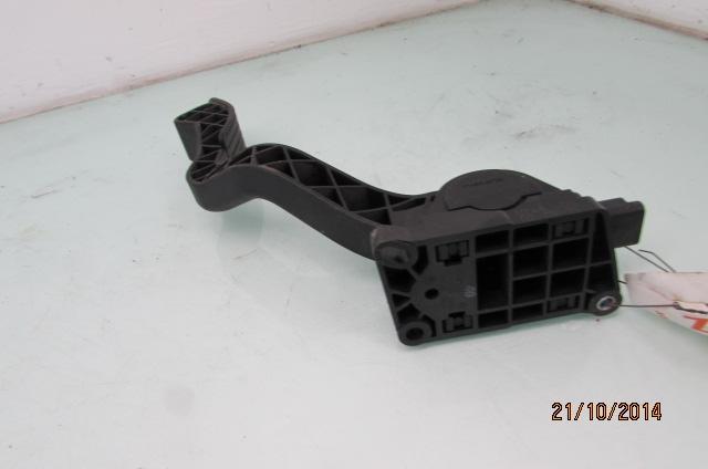 Panser – bilde 4