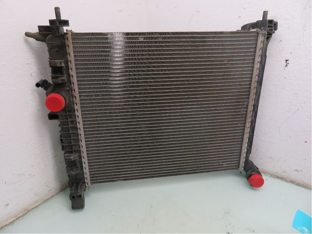Radiator Manuell – bilde 1