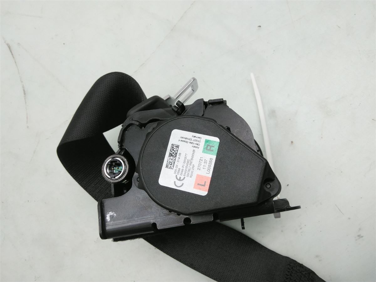 Viskermotor Bakluke – bilde 2