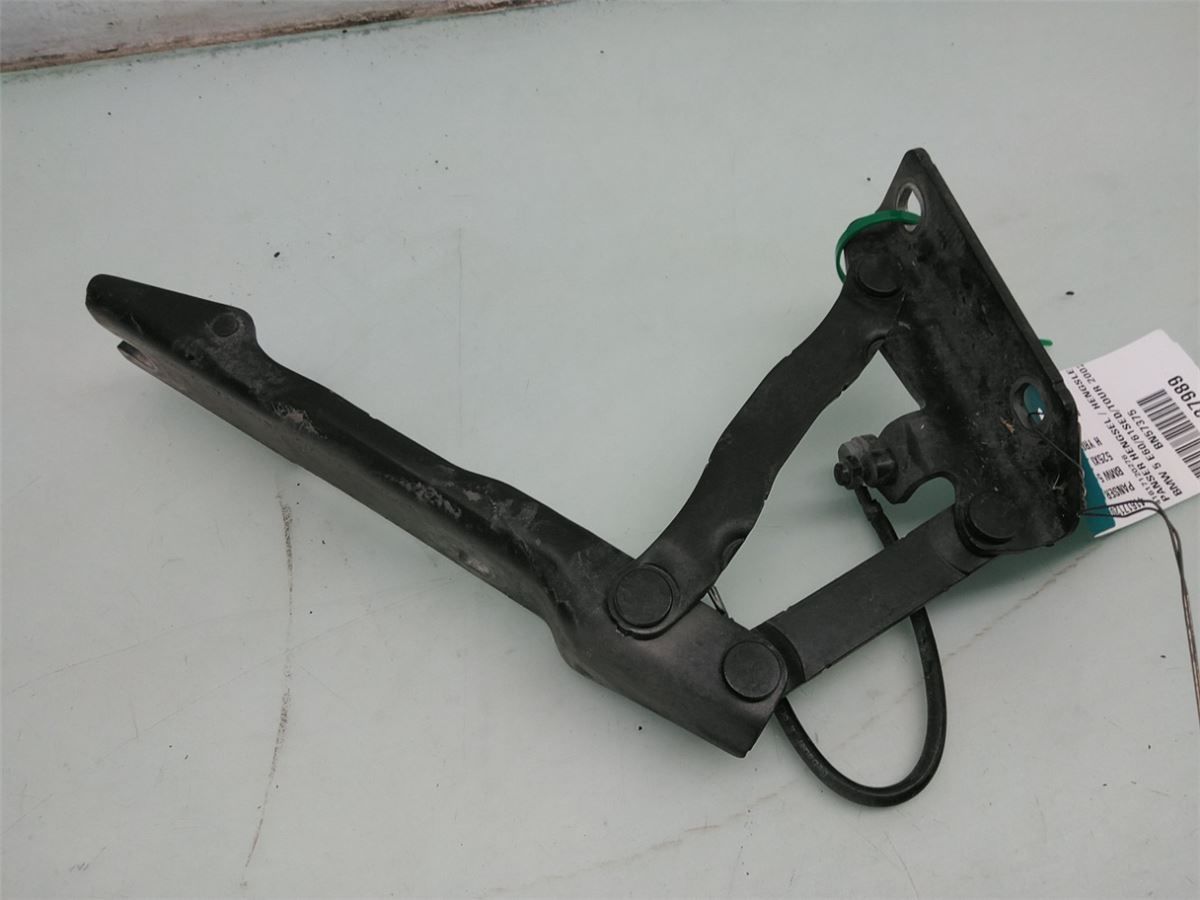 Panser Hengsel / Hengsler – bilde 1