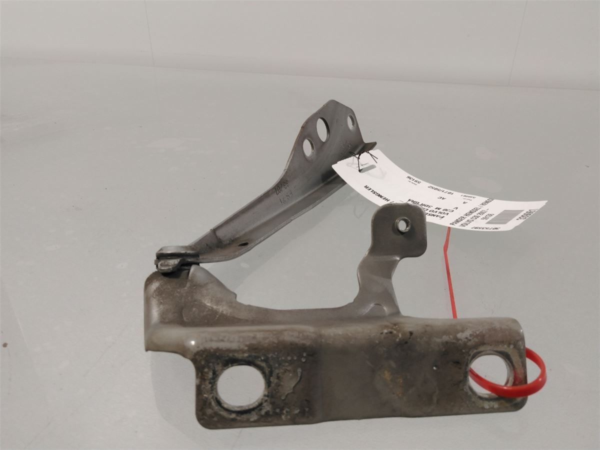 Panser Hengsel / Hengsler – bilde 2