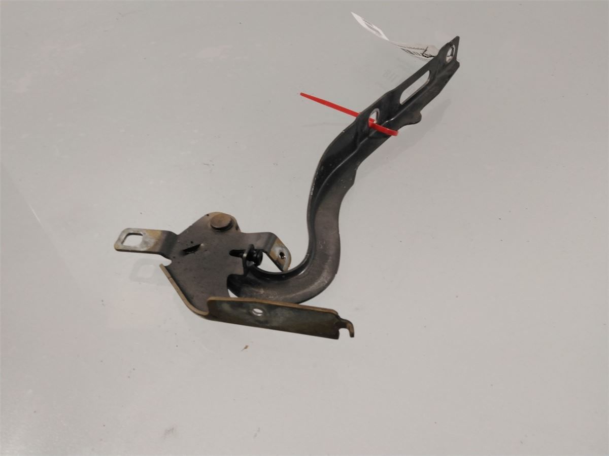 Panser Hengsel / Hengsler – bilde 1