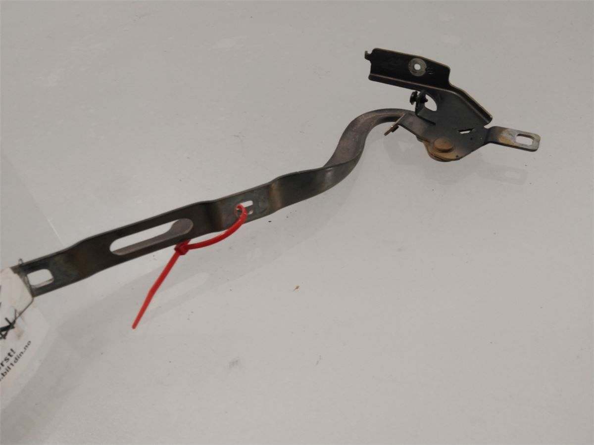 Panser Hengsel / Hengsler – bilde 2