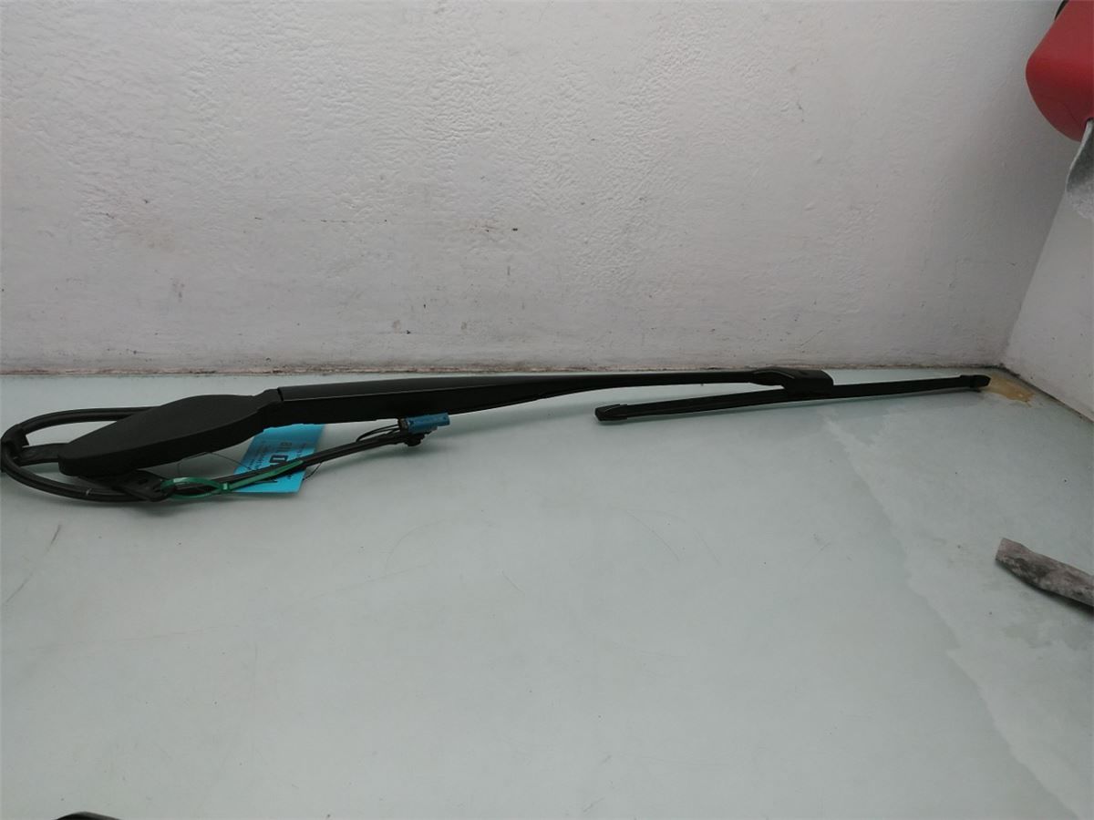 Viskerarm / Armer Frontrute – bilde 1