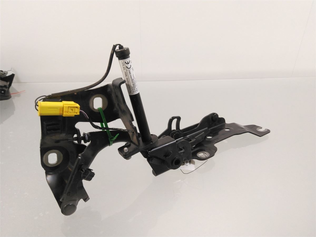 Panser Hengsel / Hengsler – bilde 2