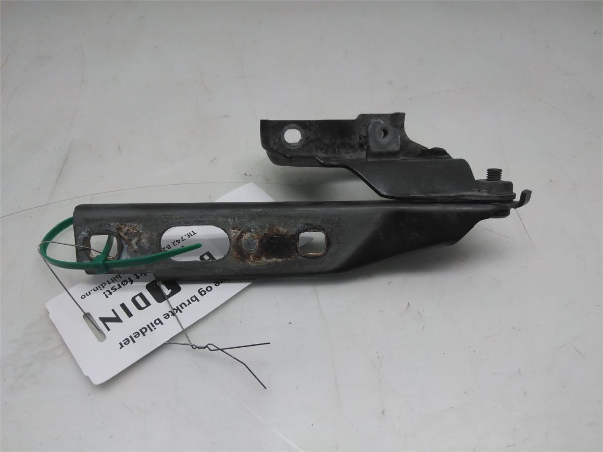 Panser Hengsel / Hengsler – bilde 2