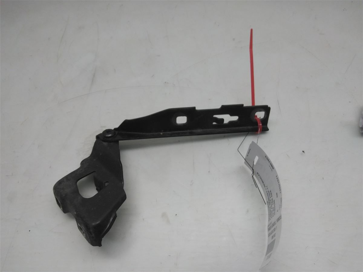 Panser Hengsel / Hengsler – bilde 1