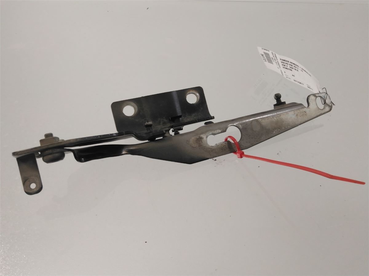 Panser Hengsel / Hengsler – bilde 2
