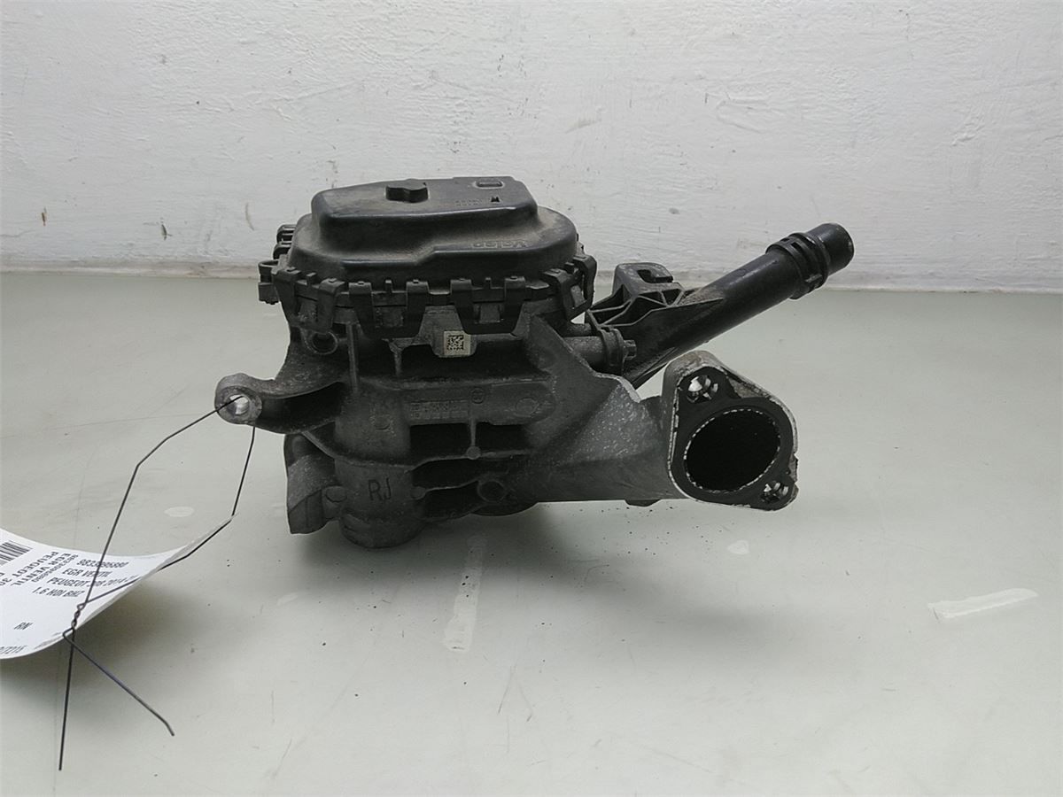 EGR Ventil – bilde 1