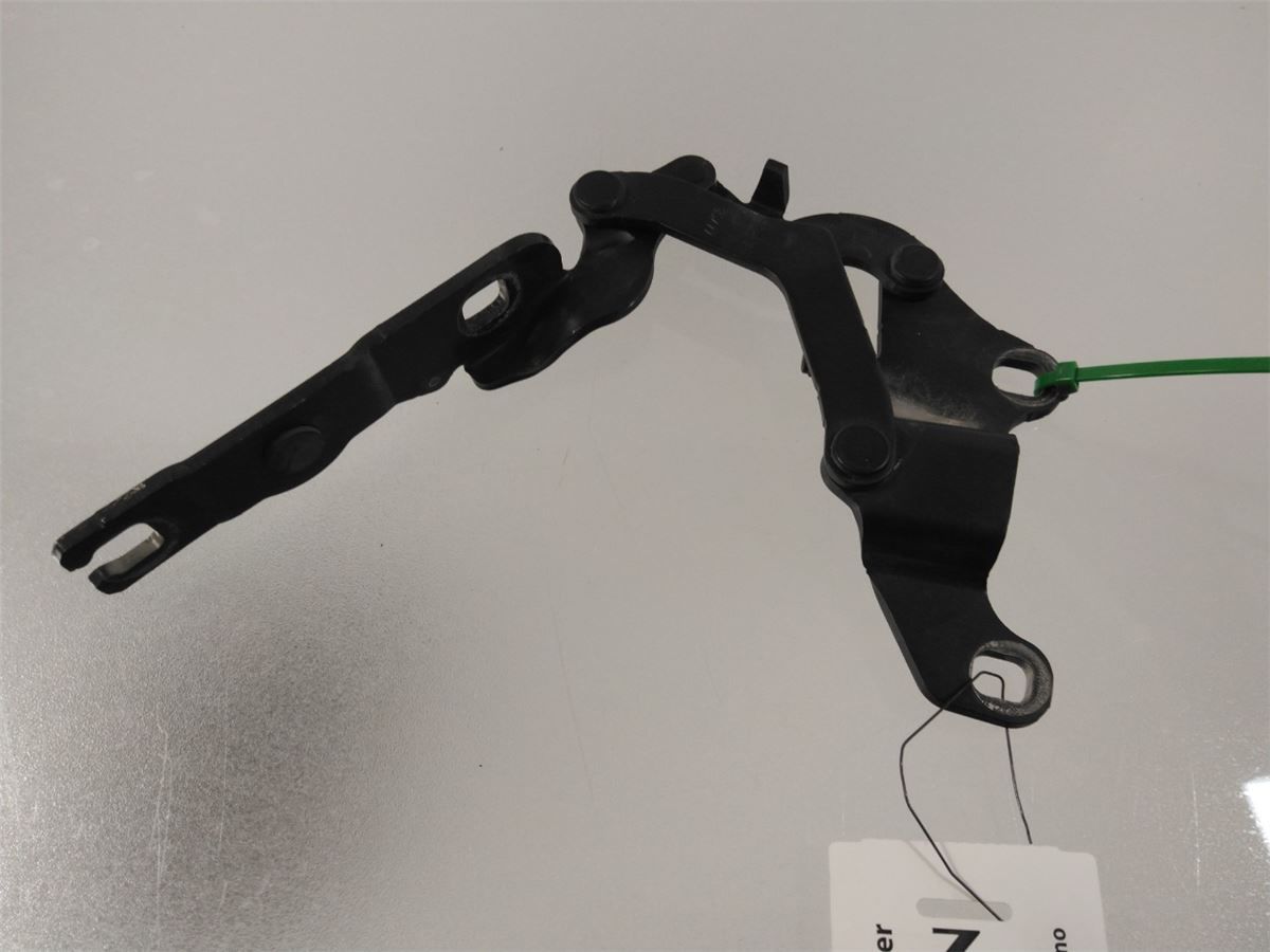 Panser Hengsel / Hengsler – bilde 2