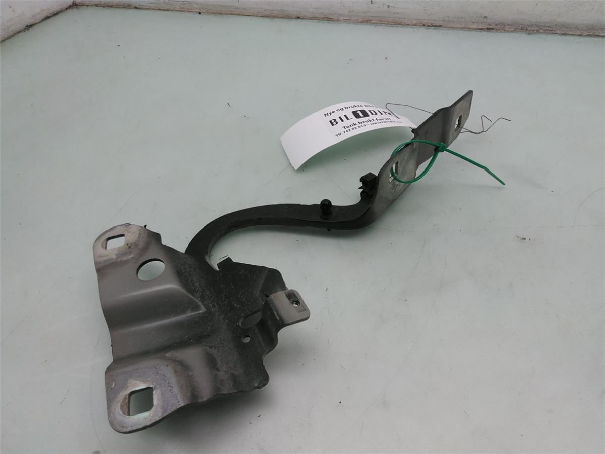 Panser Hengsel / Hengsler – bilde 1