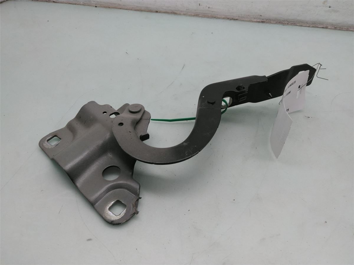 Panser Hengsel / Hengsler – bilde 2