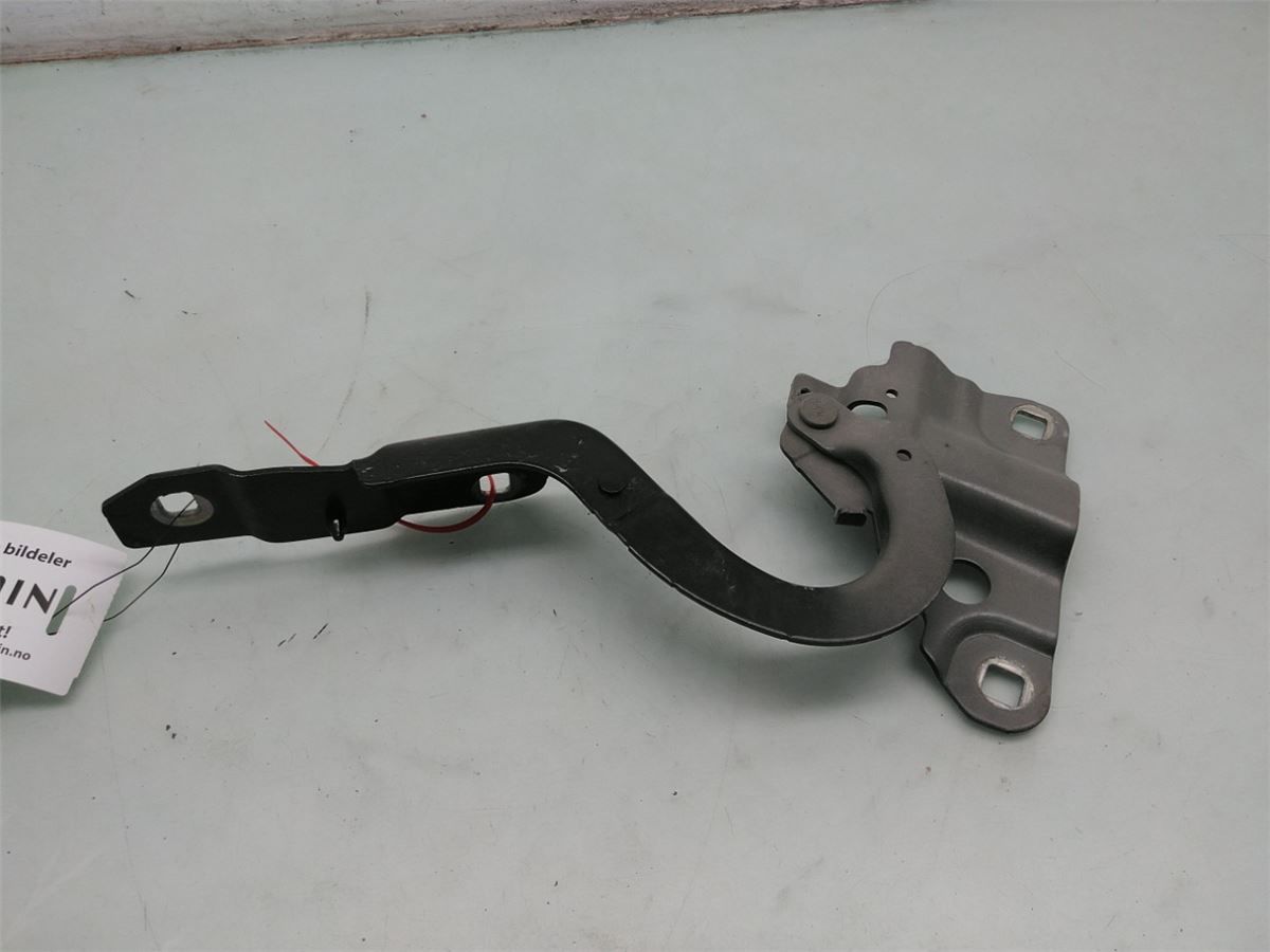 Panser Hengsel / Hengsler – bilde 1